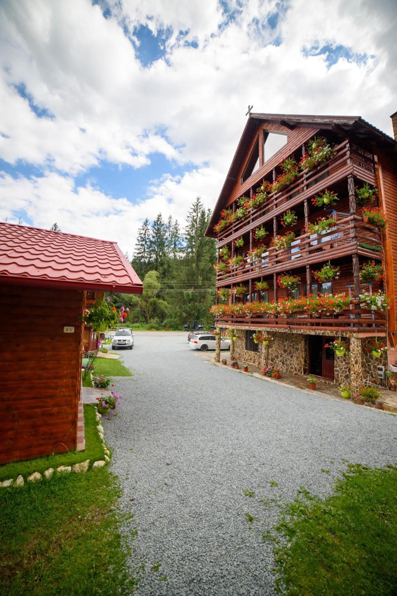 Casa Binu Hotel Arieşeni Exterior foto